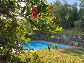 Piscine extérieure (ouverte en saison)