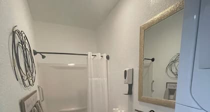 Charming one bedroom apartment near MSU and downtown