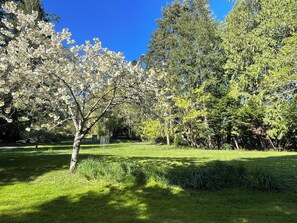Un parc où l’on trouve une grande variété d’arbres, dont un arbre à fleurs blanches particulièrement remarquable et un feuillage vert et dense.