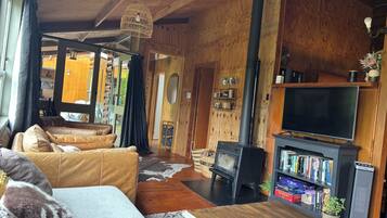 Smart TV, fireplace, books