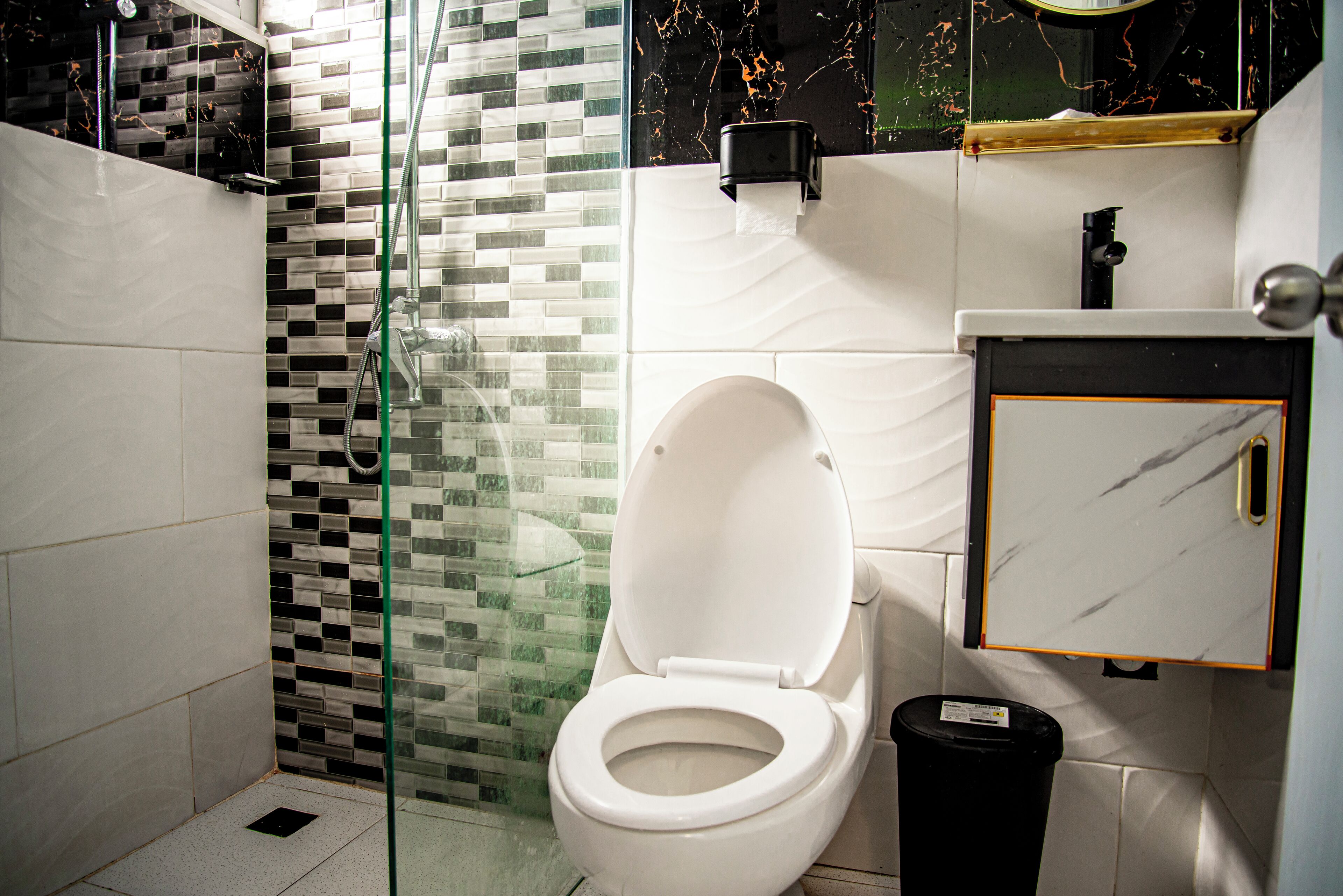 Shower, soap, toilet paper