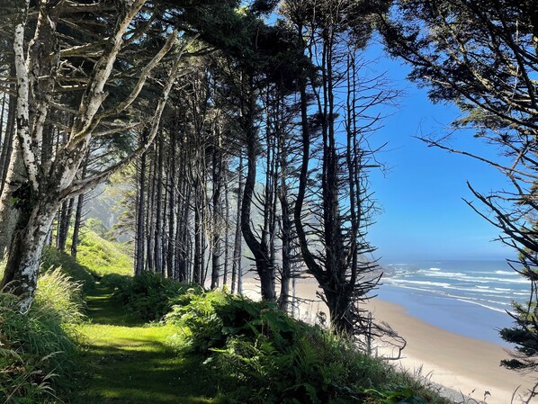 Beach nearby, sun loungers, beach towels