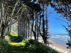Beach nearby, sun loungers, beach towels