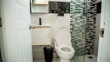 Shower, towels, soap, toilet paper