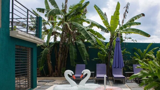 A swimming pool with two swan-shaped inflatable floats, surrounded by lounge chairs and banana trees.