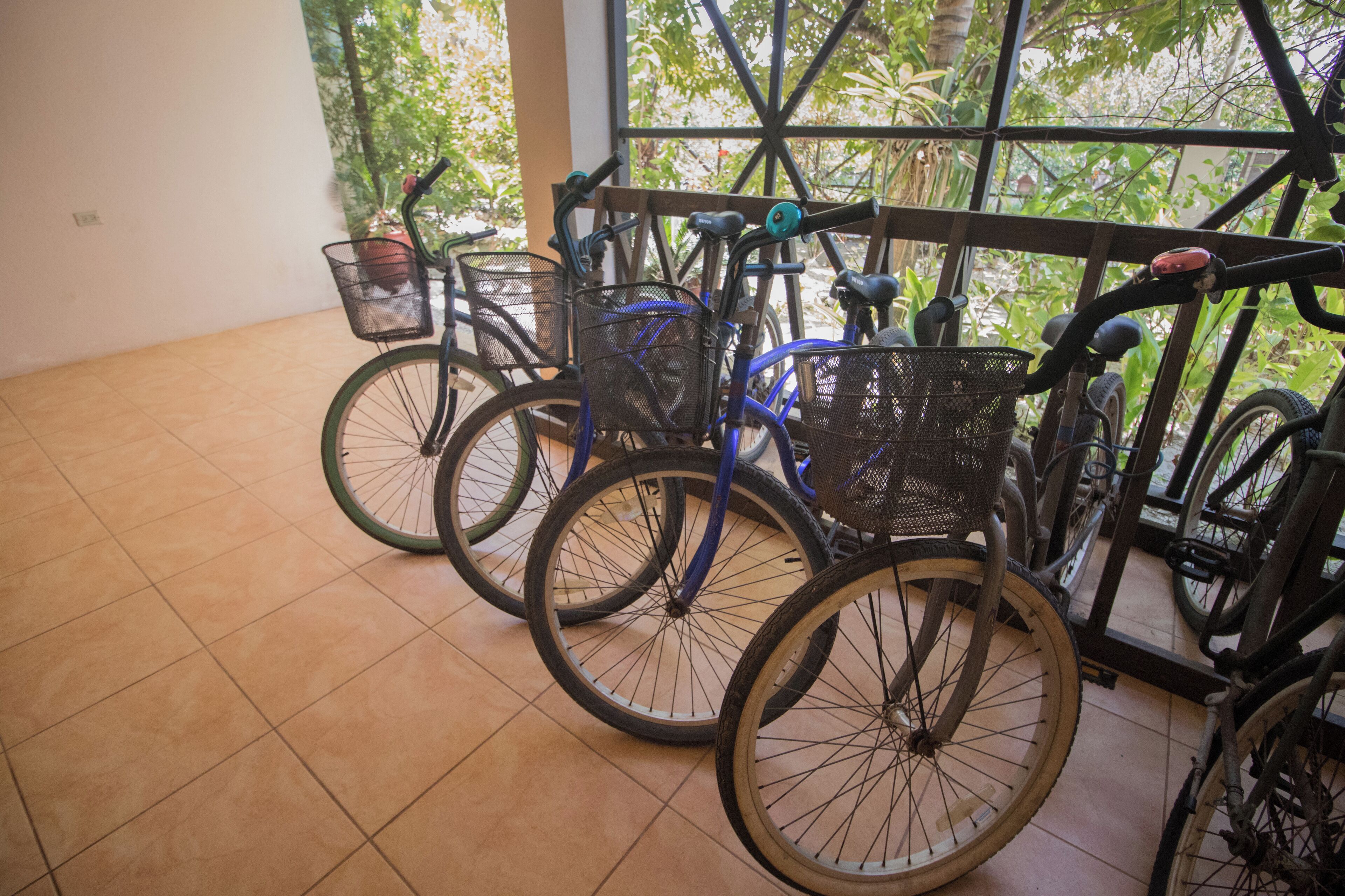 A row of bicycles parked indoors with a view of greenery outside.