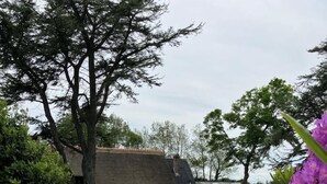 A thatched-roof building surrounded by lush greenery and purple flowers.