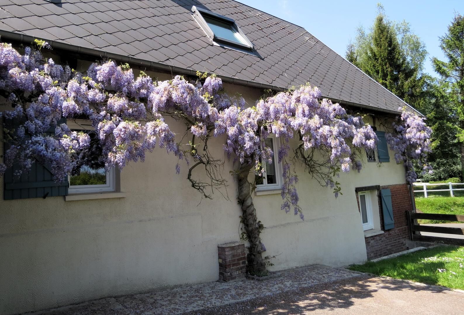 Área da propriedade