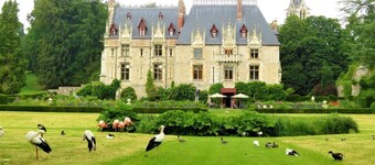 Le Gîte du Coin - LE BOCASSE