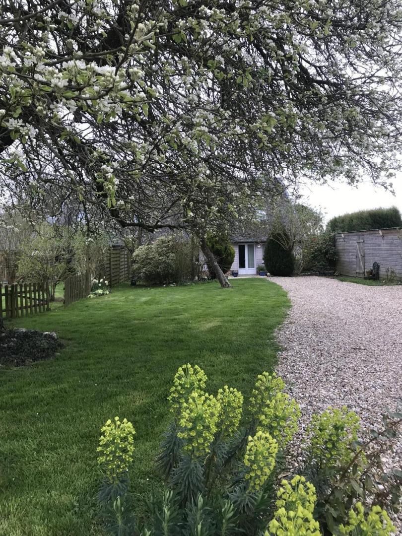 Un jardin bien entretenu, avec un chemin de gravier menant à une maison.