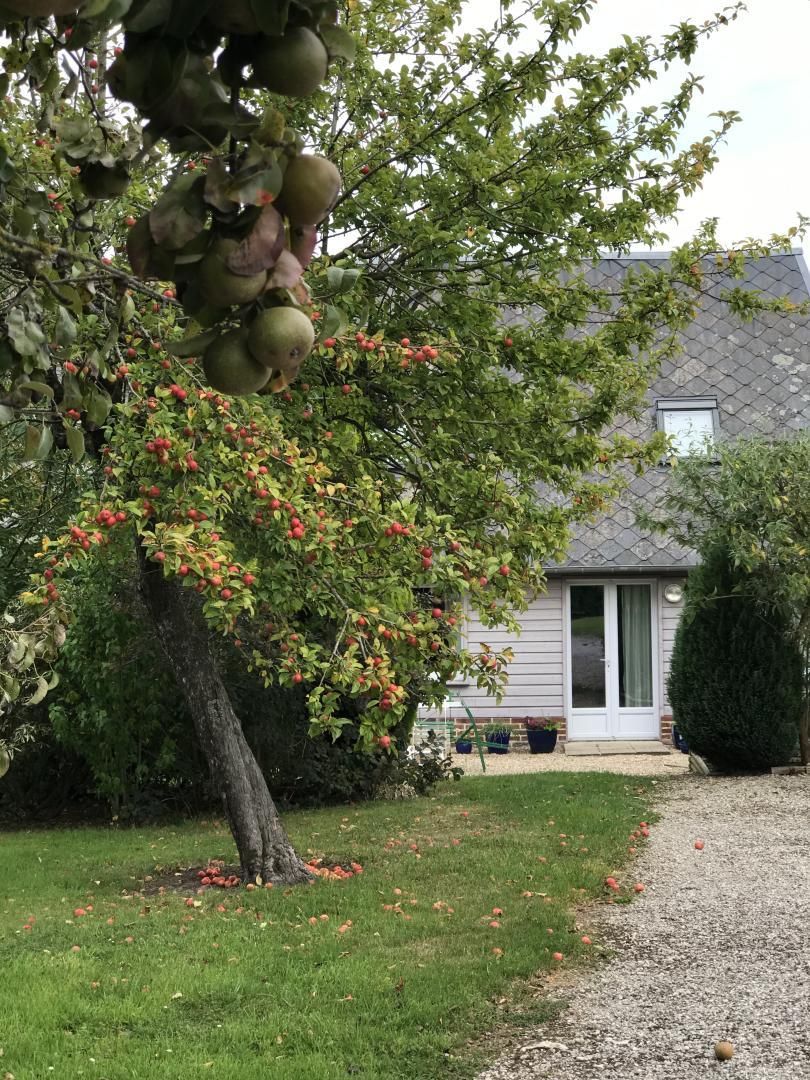 A residential area with a house, a tree with green and red apples, and a gravel path.