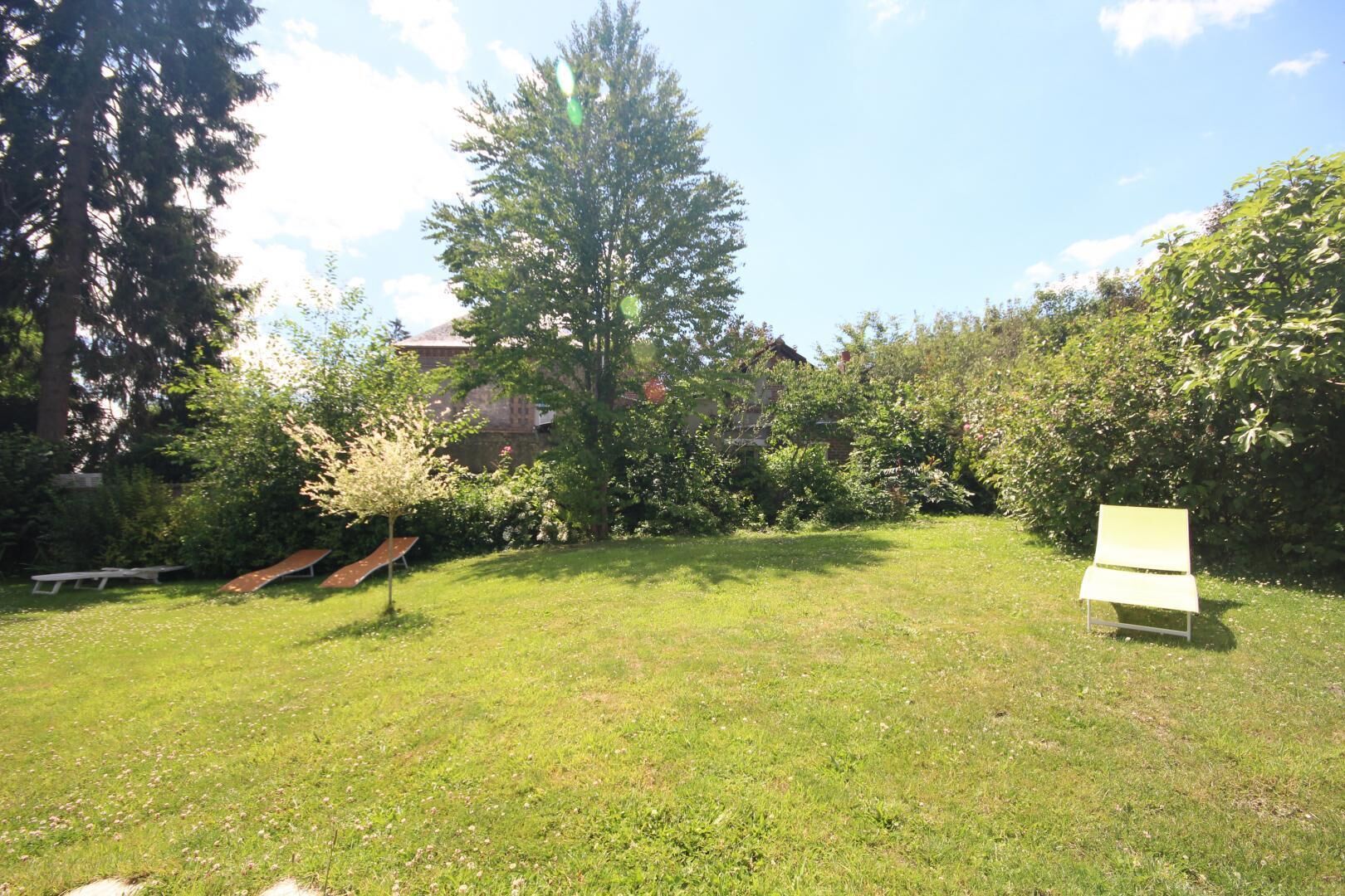 A grassy backyard with a bench, a small tree, and a slide.