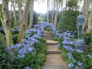 Uma trilha no jardim bordeada por flores azuis e árvores, levando a uma estátua.