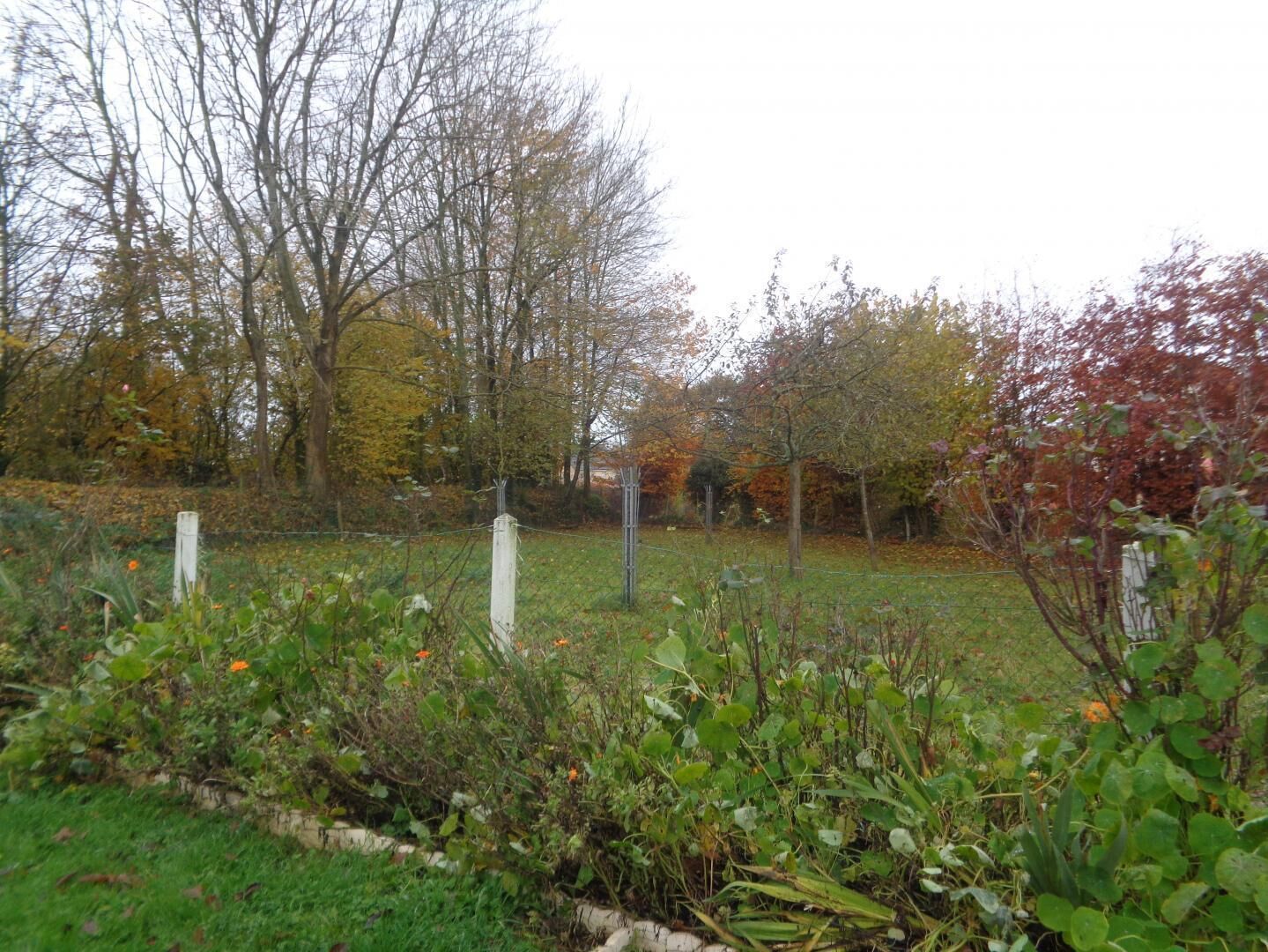 A garden with a variety of plants and trees, including some with autumn-colored leaves.