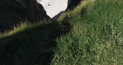 Le Verger - BORDEAUX ST CLAIR