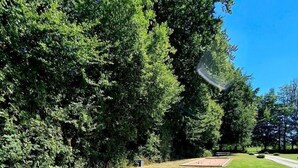 Een pingpongtafel buiten, in een grasveld omringd door bomen.