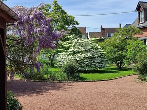 A residential driveway with a gravel path leading to a house.
