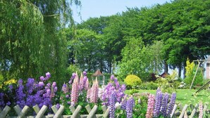 Un giardino con un recinto di legno, diverse piante in fiore e una piccola struttura sullo sfondo.