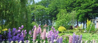 Le Petit Bijou - GERVILLE