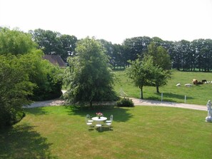 Un espace extérieur verdoyant, avec une table de pique-nique et des chaises, entouré d’arbres et d’un champ clôturé où se trouvent des animaux.