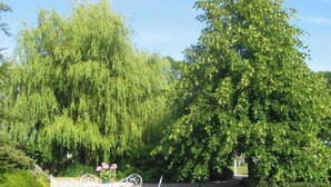 Un giardino con un tavolo e sedie in metallo bianco, circondato da rigogliosa vegetazione e alberi.