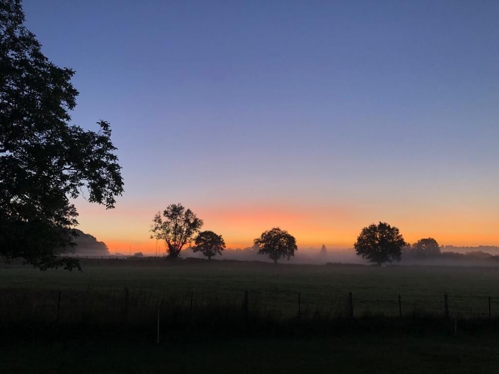Ländliche Landschaft mit einem Zaun und Bäumen bei Sonnenaufgang.