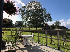Outdoor dining - Gîtes de France® - Le Petit Giteopré (BEAUBEC LA ROSIERE)