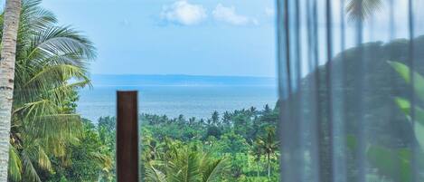 A view from a window overlooking a tropical landscape with palm trees and a body of water.