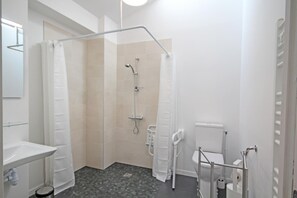 Bathroom features a shower with handheld and rain showerheads, a toilet with grab bar, and a towel rack.