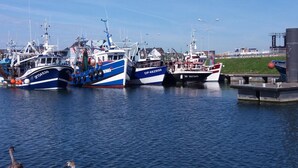 A marina with several boats docked, a grassy area, and a crane in the background. - Gîtes de France® - Le Gîte des 2 Falaises (EU)