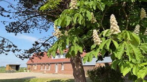 A brick building with a red roof, surrounded by a grassy area and trees with white flowers. - Gîtes de France® - Gîte d'Eclehêtre (FOUCARMONT)