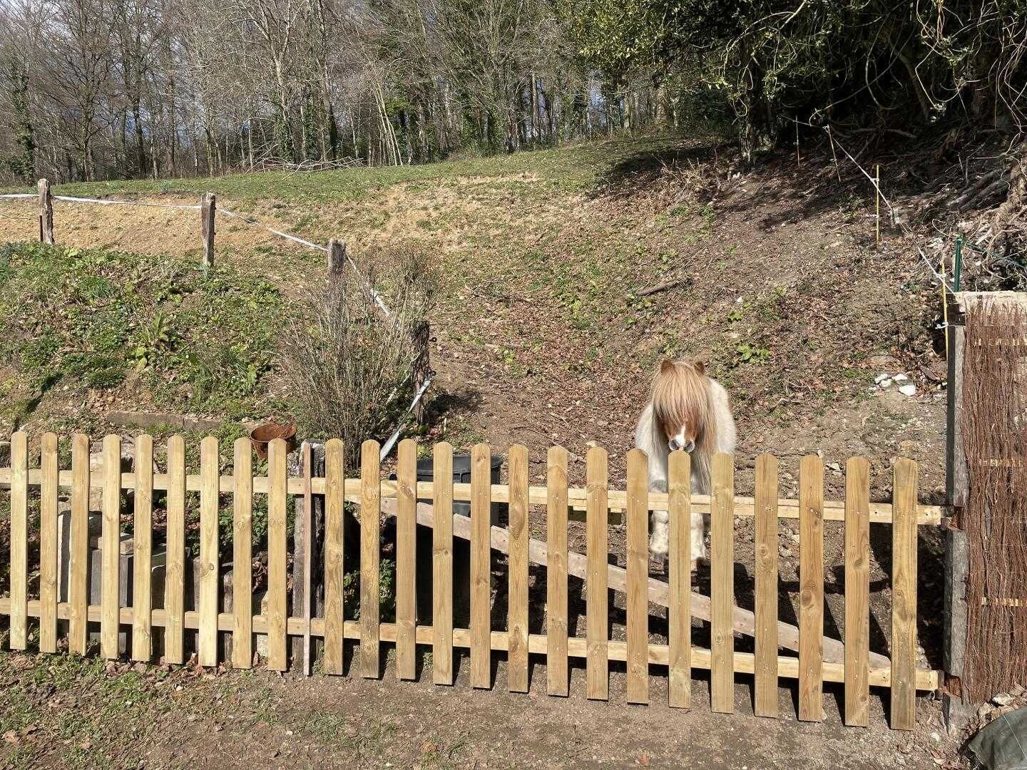 A wooden fence in a natural setting with trees and shrubs in the background.