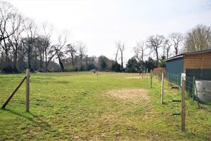 Campo esportivo