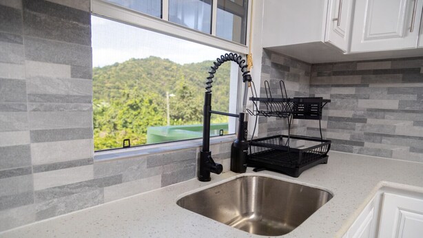 Eine Küche mit einem Edelstahl-Spülbecken, einem schwarzen Wasserhahn und einem Fenster mit Blick auf Grünflächen.