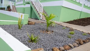 Gestalteter Gartenbereich mit Kies und Steinen, einer kleinen Palme und einer Treppe, die zu einem grünen Gebäude führt.