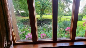 Una finestra con vista su un giardino pieno di fiori rosa ed erba verde.