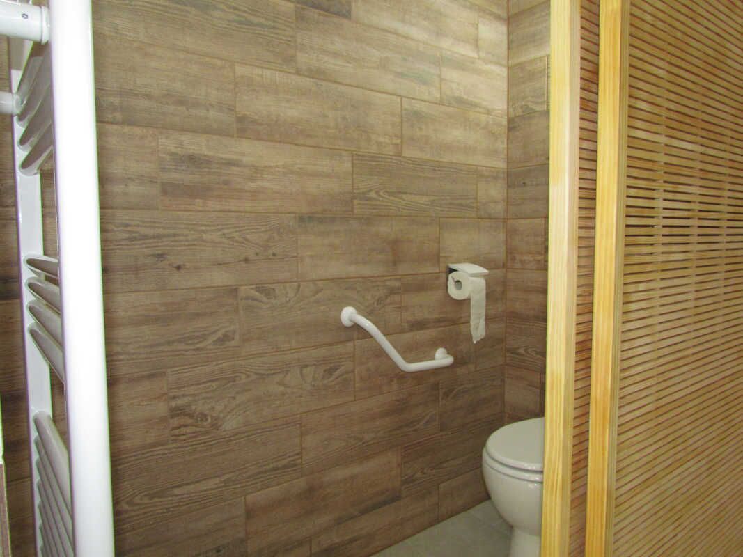 Een badkamer met houten vloer, een wit toilet, een handgreep en een handdoekdispenser.