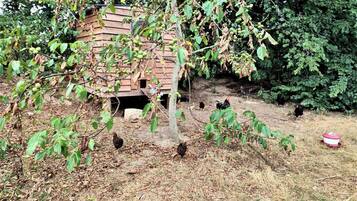 Overnatningsstedets område