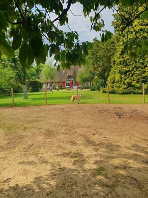 Overnattingsstedets uteområder
