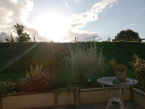 A garden patio with a round table and potted plants.