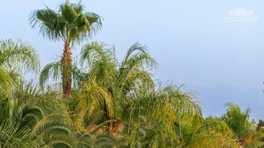 حمام سباحة