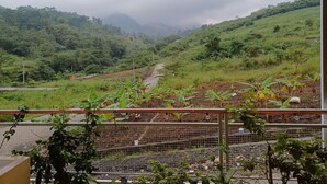 Une vue d’une vallée verdoyante et luxuriante, traversée par une route, et bordée d’une végétation dense et de collines.