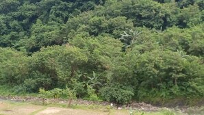 Un paysage rural caractérisé par des champs en terrasses et une forêt dense en arrière-plan.