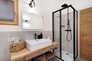 Shower, hair dryer, towels