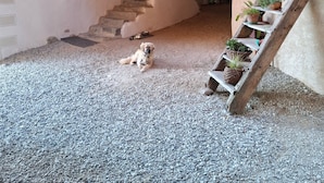 Een houten wenteltrap met plantenpotten, een hond die uitrust op grind, en een stenen boog die leidt naar een houten deur.