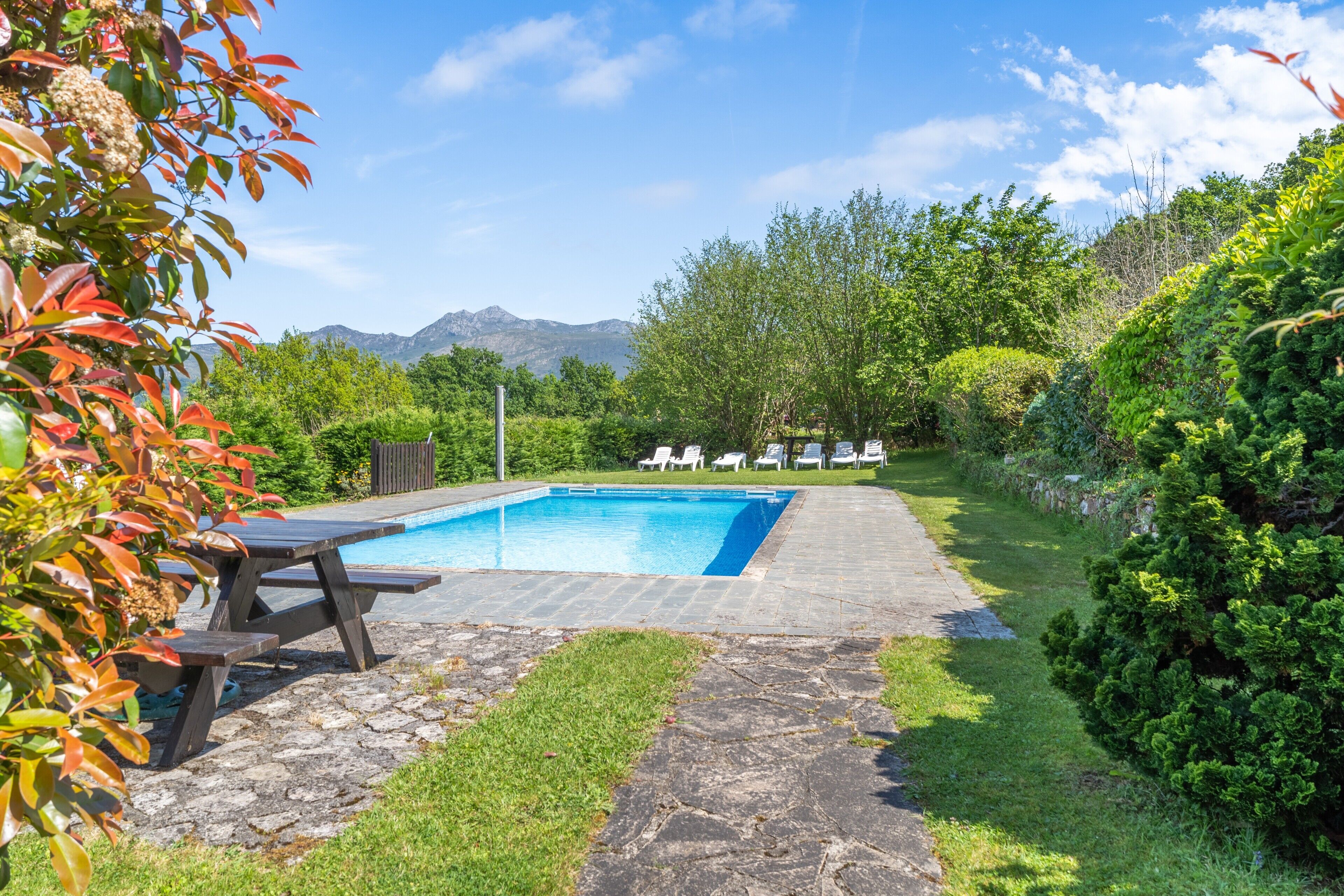 A swimming pool with lounge chairs, a stone pathway, and lush greenery.