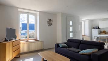 Televisión, chimenea, reproductor de DVD, mesa de ping pong