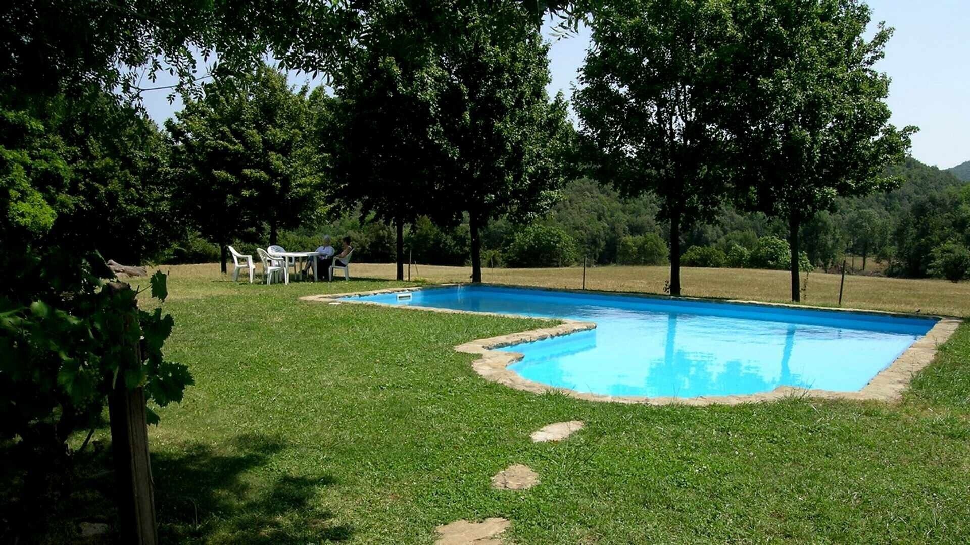 Una piscina rectangular con borde de piedra, rodeada de césped y árboles.