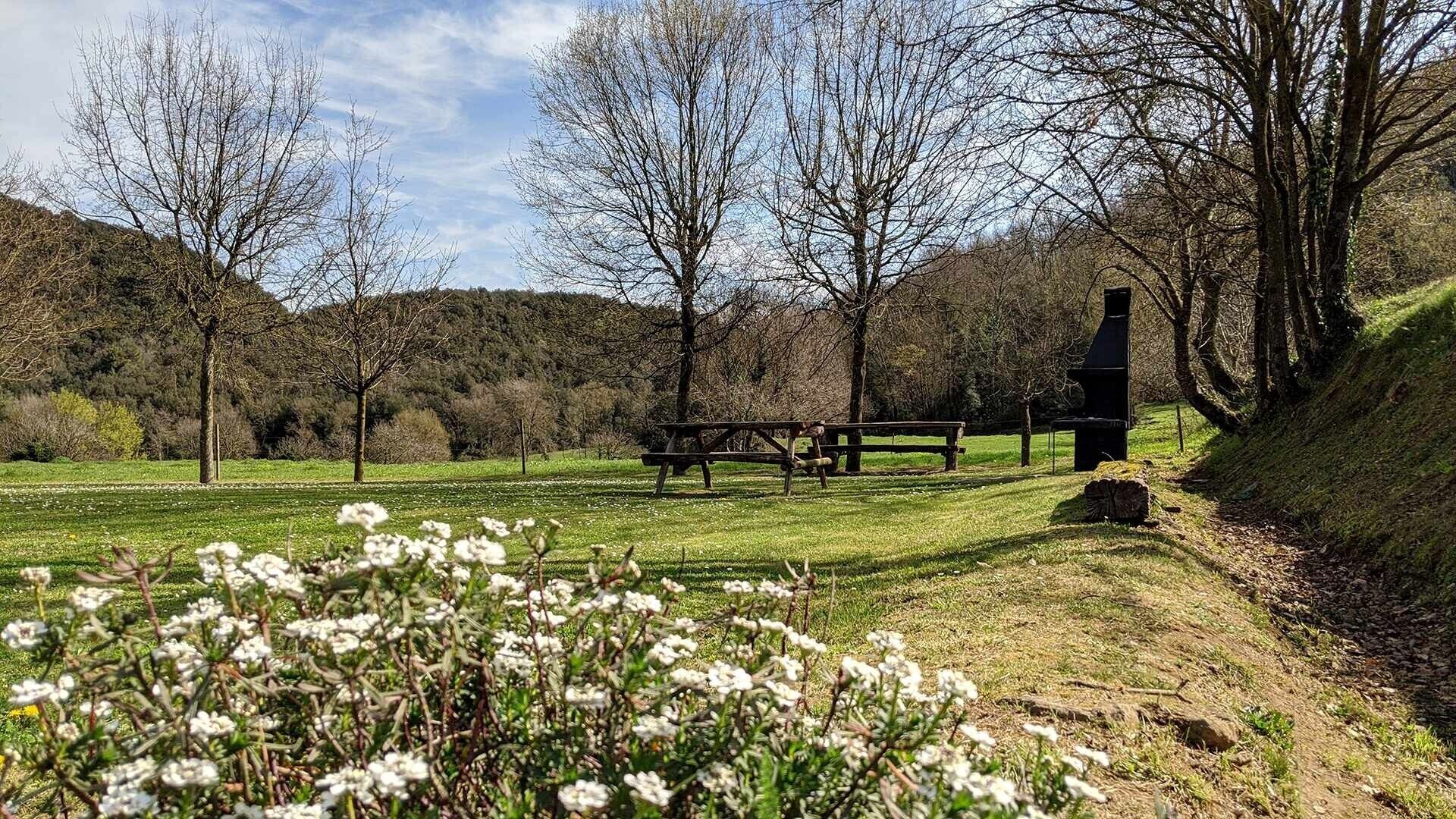 A picnic area with a table and benches, surrounded by trees and a grassy field.