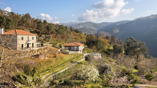 Paisaje rural con casas, un edificio de piedra y un viñedo.